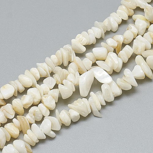 Freshwater Shell Beads Strands SHEL-S270-20-1