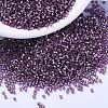 MIYUKI Delica Beads X-SEED-J020-DB2169-1