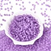 FGB Frosted Transparent Glass Seed Beads SEED-N013-03A-07-2
