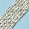 Natural Cultured Freshwater Pearl Beads Strands PEAR-A005-21B-01-2