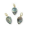 Natural Paua Shell/Abalone Shell Carved Pendants PALLOY-JF05615-01-1