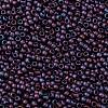 TOHO Round Seed Beads SEED-JPTR08-0704-2