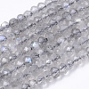Natural Labradorite Beads Strands G-R462-019-1
