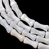 Natural Freshwater Shell Beads Strands SH-CBA2978-13-2