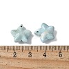 Natural Rainbow Alashan Agate Charms G-G194-02-4