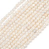 Natural Cultured Freshwater Pearl Beads Strands PEAR-L034-09C-2