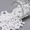 6/0 Glass Seed Beads SEED-US0003-4mm-41-1