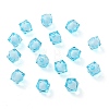 Transparent Acrylic Beads LS-TACR-S112-10mm-22-2