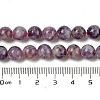 Natural Lepidolite/Purple Mica Stone Beads Strands G-B133-A01-8MM-6