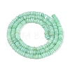 Natural Freshwater Shell Beads Strands SHEL-Q028-01F-2