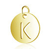 304 Stainless Steel Charms STAS-S105-T514G-K-1