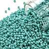 TOHO Round Seed Beads SEED-JPTR11-0413-1
