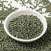 MIYUKI Round Rocailles Beads SEED-JP0009-RR2033-2