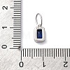 925 Sterling Silver Cubic Zirconia Charms STER-NH0014-01P-10-3