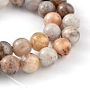 Natural Bamboo Leaf Agate Round Bead Strands G-M248-8mm-04-2
