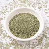 MIYUKI Delica Beads SEED-X0054-DB1766-2
