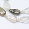 Natural Lodolite Quartz Beads Strands G-F532-02-3