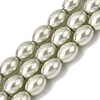 Electroplated Shell Pearl Beads Strands BSHE-B008-07A-1
