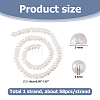1 Strand Natural Keshi Pearl Cultured Freshwater Pearl Beads Strands PEAR-HS0001-26A-2