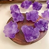 Natural Rough Raw Amethyst Display Decorations G-PW0007-157-4