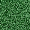 MIYUKI Delica Beads SEED-MY11-DB0724-3