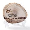 Printed Natural Agate Slice Stone Ornament DJEW-M011-03H-2