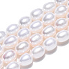 Natural Cultured Freshwater Pearl Beads Strands PEAR-N012-06J-4