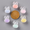 Transparent Acrylic Beads TACR-S152-12C-3