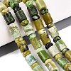 Natural Serpentine Beads Strands G-Q616-09H-1