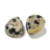 Natural Dalmatian Jasper Cabochons G-Q173-02C-20-2
