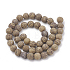 Natural Elephant Skin Jasper/Miriam Stone/Calligraphy Stone Beads Strands G-T106-125-3