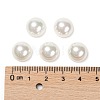 Half Round/Dome Half Drilled Shell Pearl Beads BSHE-N003-12mm-HC301-3