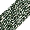 Natural Green Spot Jasper Beads Strands GG-CBAE4D4-A05-01-2