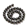 Shell Pearl Bead Strands X-BSHE-L025-05-12mm-5