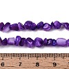 Natural Freshwater Shell Beads Strands SHEL-N037-04H-4
