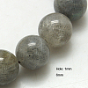 Natural Labradorite Beads Strands X-G-G212-6mm-23-1