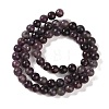 Natural Lepidolite/Purple Mica Stone Beads Strands G-P530-B06-02-3