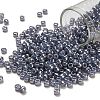 TOHO 6/0 Round Beads SEED-TR06-0455-1