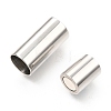 304 Stainless Steel Magnetic Clasps with Glue-in Ends STAS-C020-02P-2