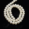 Natural Cultured Freshwater Pearl Beads Strands PEAR-L001-E-13-3