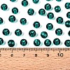 FGB Transparent Glass Seed Beads SEED-N013-01B-09-4