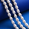 Natural Cultured Freshwater Pearl Beads Strands PEAR-F007-70-5