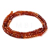 Natural Carnelian Beads Strands G-Q002-C01-02-3