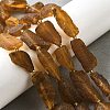 Raw Rough Natural Amber Beads Strands G-B125-C01-02-1