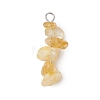 3Pcs Natural Aquamarine & Citrine & Flower Amazonite Chip Beaded Constellation Pendants PALLOY-JF03043-03-3