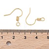 SHEGRACE Brass Earring Hooks XGR0140G-153G-3