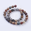 Natural Ocean Jasper Beads Strands G-P318-01-10mm-2