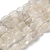 Natural White Moonstone Beads Strands G-P497-01E-69C-2