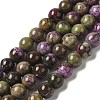 Natural Atlantisite Stichtite Beads Strands G-H034-A02-02-1