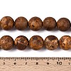 Natural Agate Beads Strands G-T144-64A-01-5